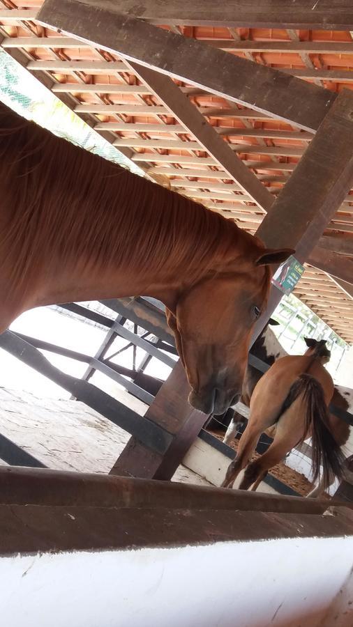 Appartamento Flat Fazenda Monte Castelo-Ao Lado Da Piscina Gravatá Esterno foto