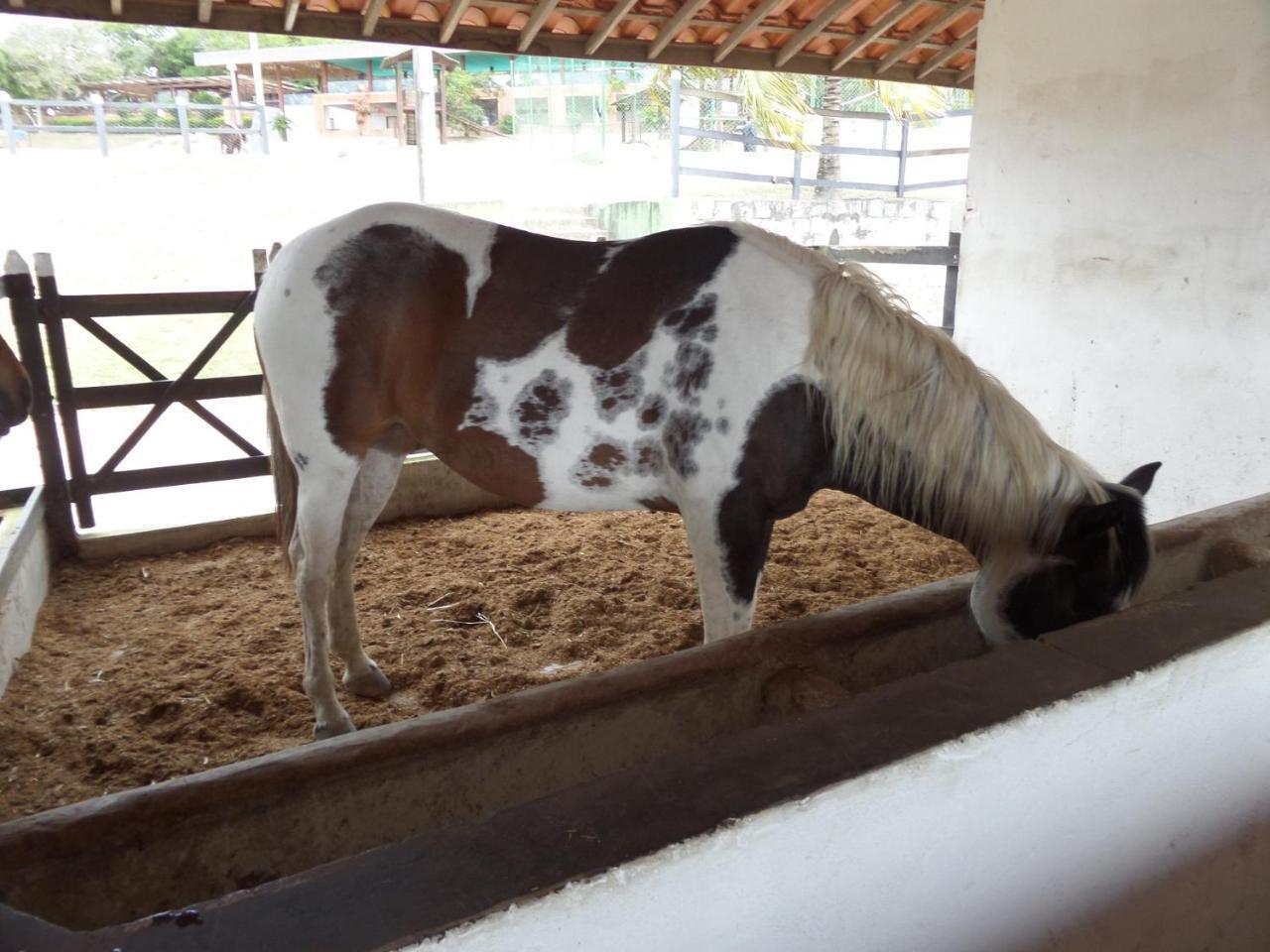 Appartamento Flat Fazenda Monte Castelo-Ao Lado Da Piscina Gravatá Esterno foto